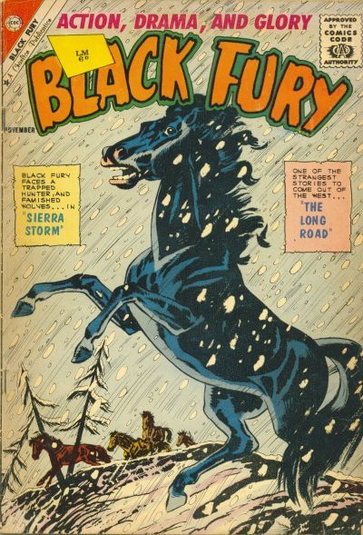 Black Fury #33 Comic