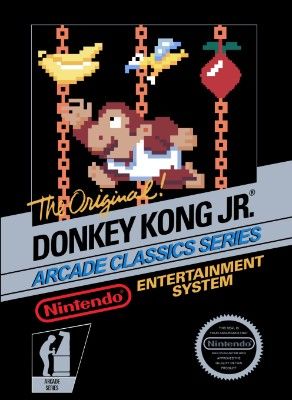 Donkey Kong Jr. Video Game