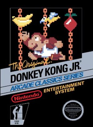 Donkey Kong Jr.
