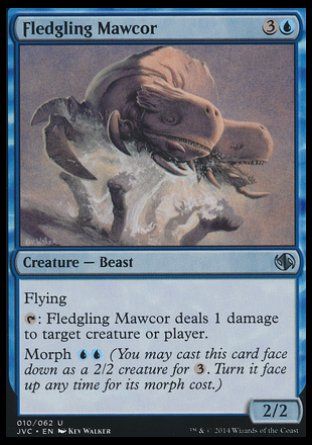 Fledgling Mawcor (Duel Decks : Anthology) Trading Card