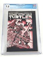 Teenage Mutant Ninja Turtles #1