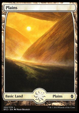 Plains (Battle for Zendikar) Trading Card