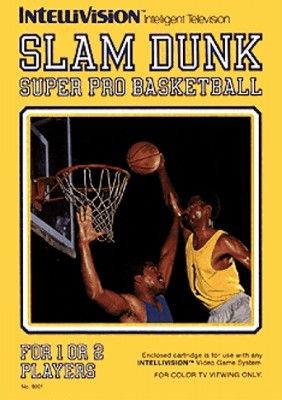 Slam Dunk: Super Pro Basketball Video Game