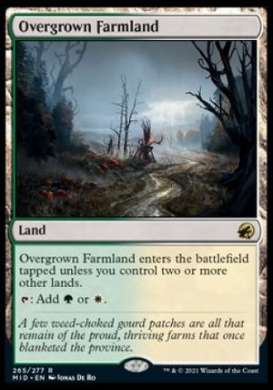 Overgrown Farmland (Innistrad: Midnight Hunt)