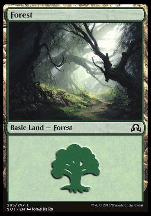 Forest (Shadows over Innistrad) Trading Card