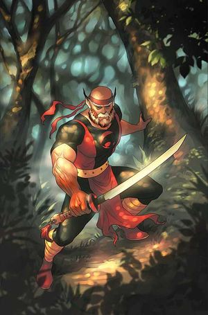ThunderCats: Lost #5 (Cvr L Inc 1:20 Meghan Hetrick Virgin Variant)