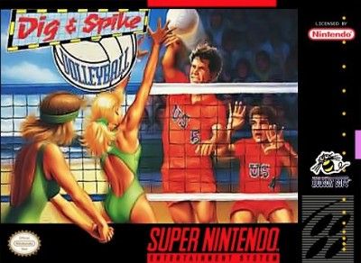 Dig & Spike Volleyball Video Game