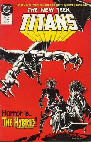 The New Teen Titans #24