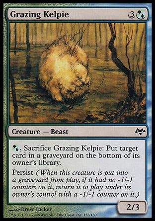 Grazing Kelpie (Eventide) Trading Card