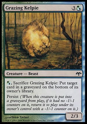 Grazing Kelpie (Eventide)