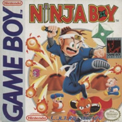 Ninja Boy Video Game