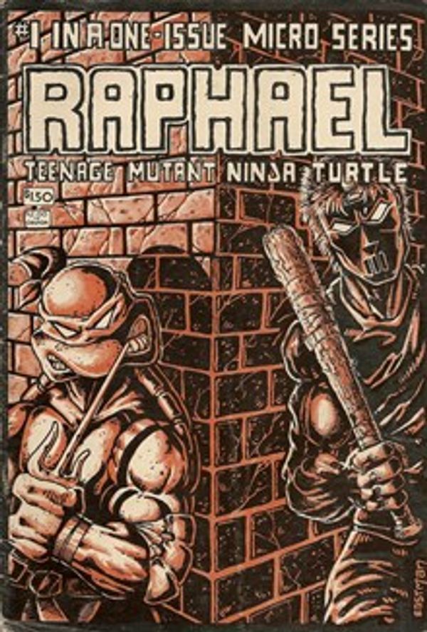 Raphael, Teenage Mutant Ninja Turtle #1