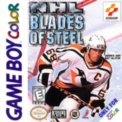NHL Blades of Steel Video Game