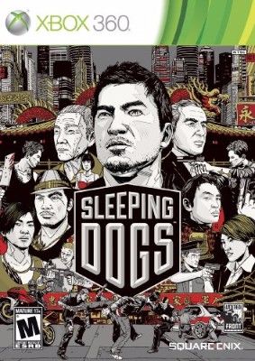 Sleeping Dogs Video Game