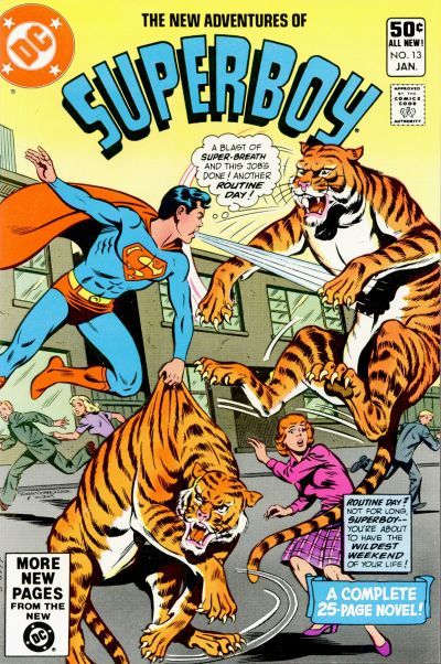 The New Adventures of Superboy #13 Comic