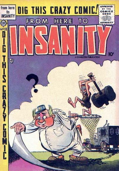 From Here To Insanity #10 Comic