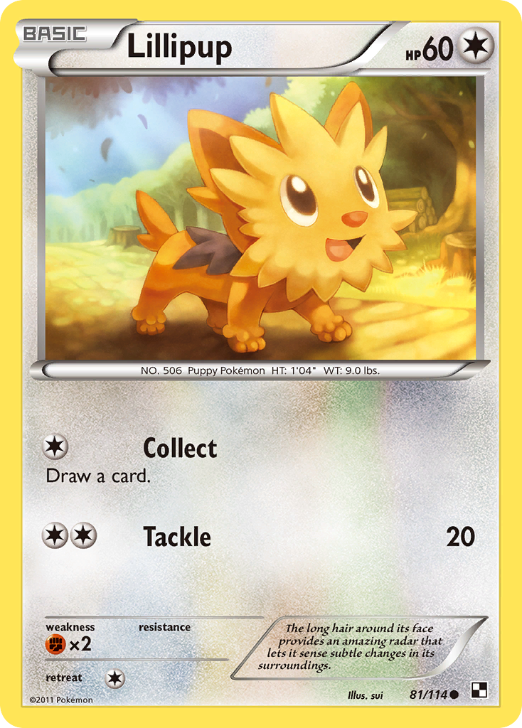 Lillipup (81/114) - Black & White Pokémon Card