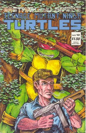 Teenage Mutant Ninja Turtles #12