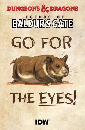 Dungeons & Dragons Baldurs Gate 100-pager
