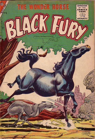 Black Fury #6 Comic