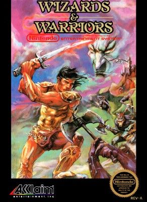 Wizards & Warriors Video Game