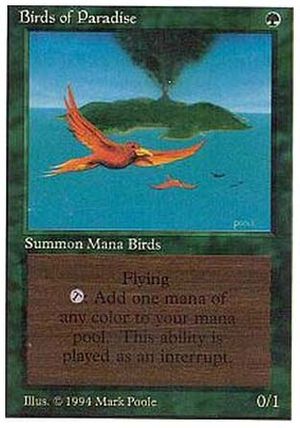 Birds of Paradise (Summer Magic)
