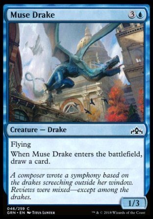 Muse Drake (Guilds of Ravnica) Trading Card