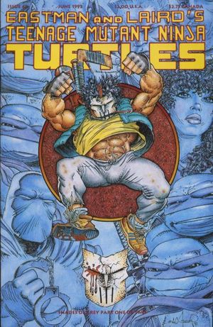 Teenage Mutant Ninja Turtles #48
