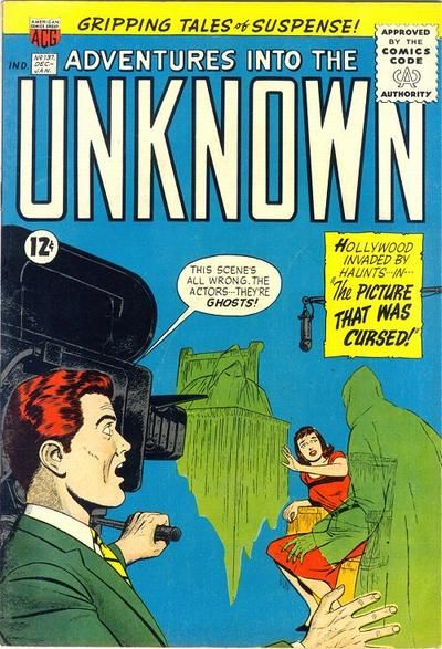 Adventures into the Unknown #137 Comic