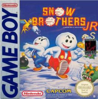 Snow Brothers Video Game