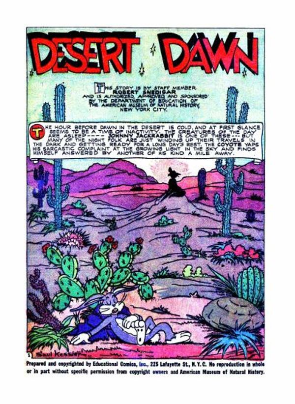 Desert Dawn #nn
