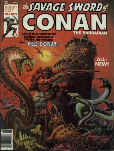 The Savage Sword of Conan #29 Comic