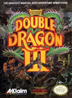 Double Dragon III: The Sacred Stones Video Game