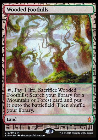 Wooded Foothills (Zendikar Expeditions) Trading Card