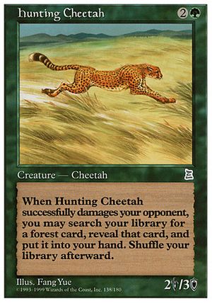 Hunting Cheetah (Portal Three Kingdoms)