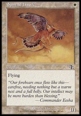 Suntail Hawk (Judgment) Trading Card