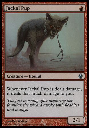 Jackal Pup (Premium Deck Series: Fire and Lightning) Trading Card