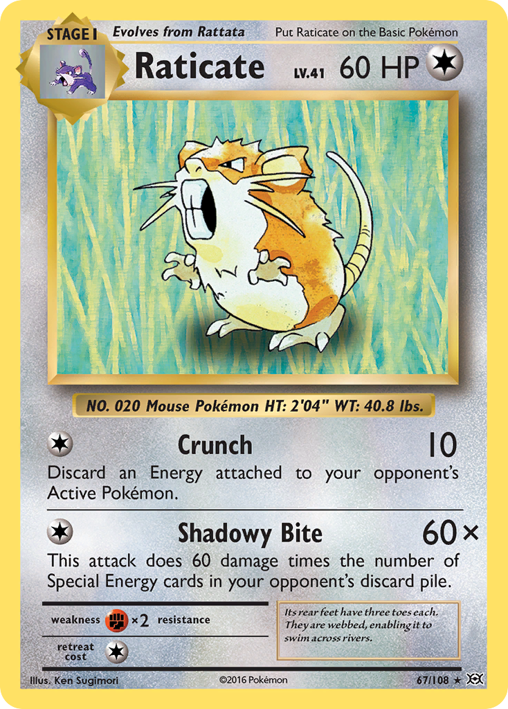 Raticate (67/108) - Evolutions Pokémon Card