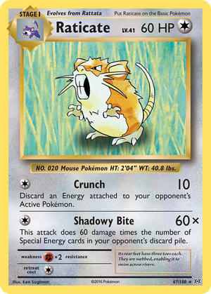 Raticate (67/108) - Evolutions