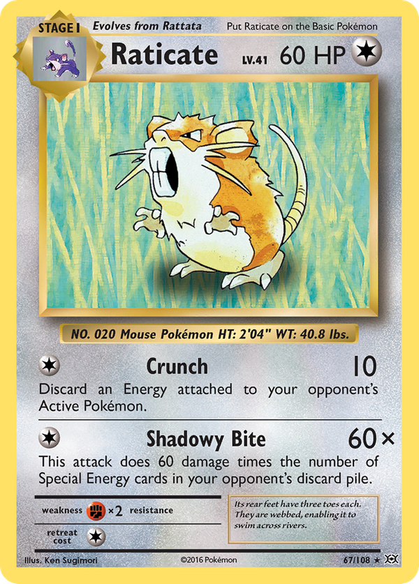 Raticate (67/108) - Evolutions