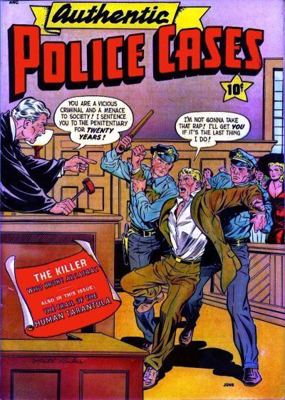 Authentic Police Cases #13 Comic