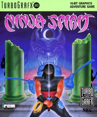 Ninja Spirit Video Game