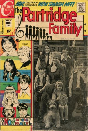 Partridge Family #1