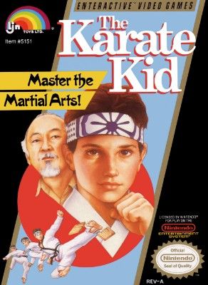 Karate Kid Video Game