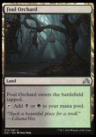 Foul Orchard (Shadows over Innistrad) Trading Card