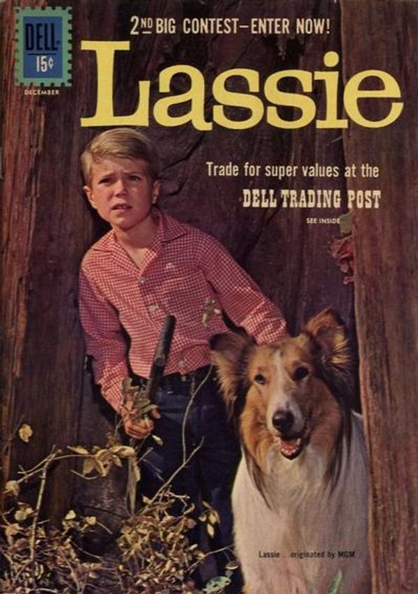 Lassie #55