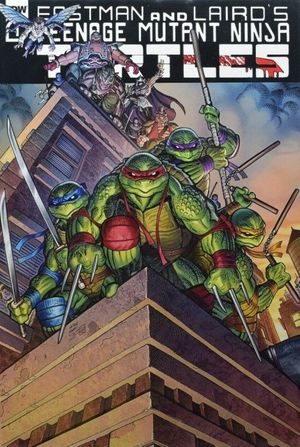 Teenage Mutant Ninja Turtles #1 (Adams Mystery Box Edition)
