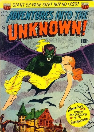 Adventures into the Unknown #23 Comic