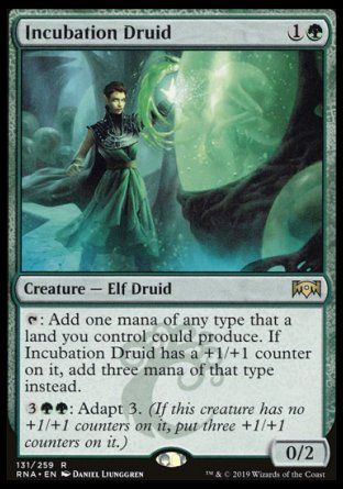 Incubation Druid (Ravnica Allegiance) Trading Card