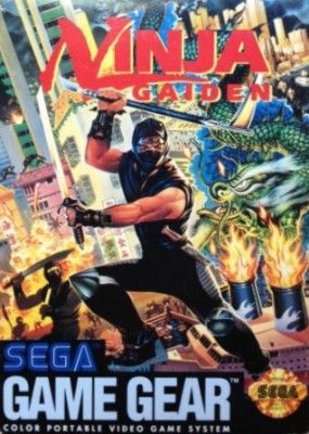 Ninja Gaiden Video Game